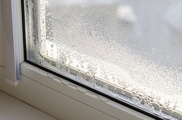 Cost of Leaky Window Repair in Dothan